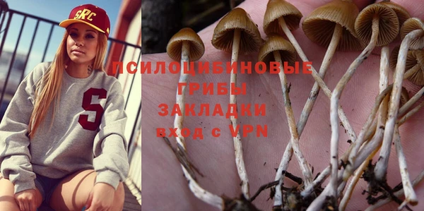 стаф Абдулино