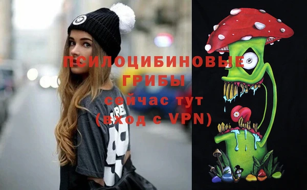 прущий лед Алексин