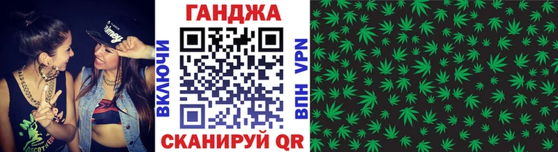 Конопля сатива  Егорьевск 